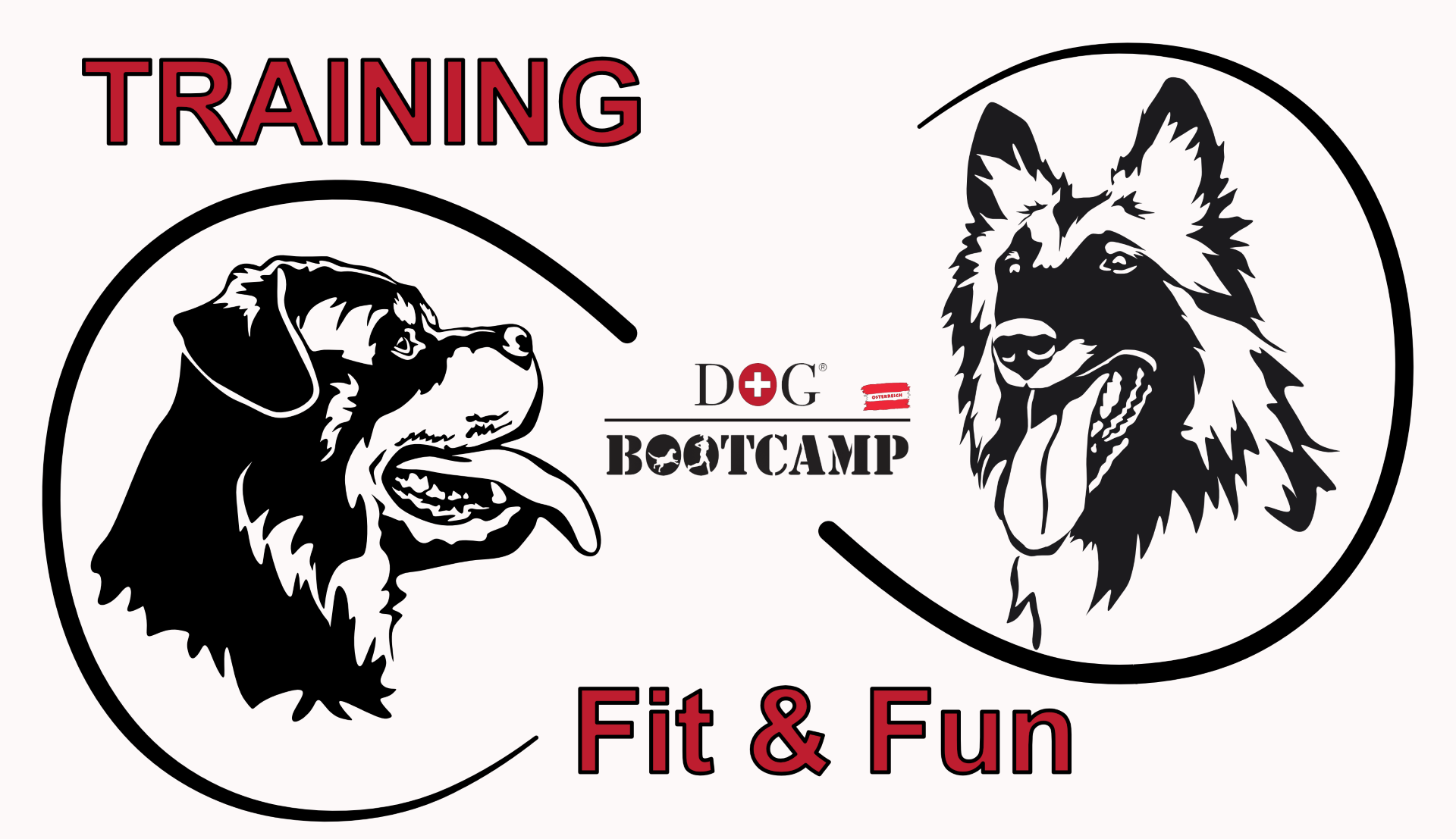 Dogtrain Hundetraining & Fitness